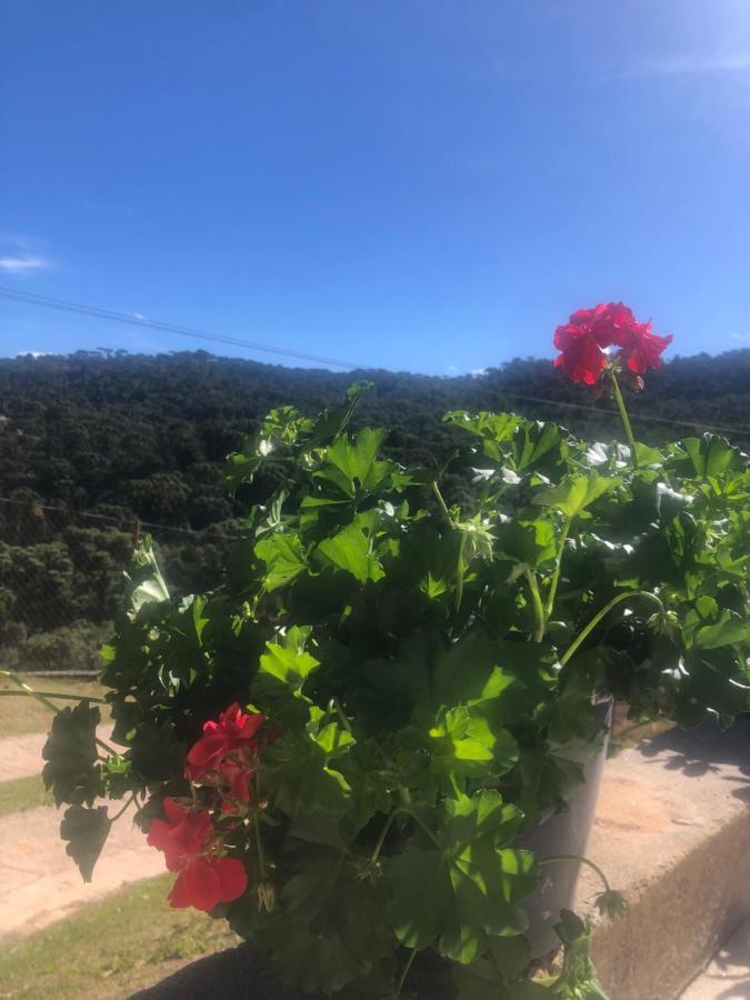 Casa Aconchegante Na Montanha Apartman Campos do Jordão Kültér fotó